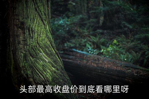 什么是頭部最高收盤價(jià)，頭剖最高收盤價(jià)是什么意思