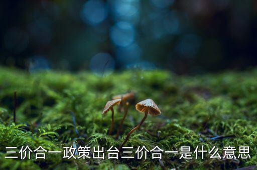 三價(jià)合一政策出臺三價(jià)合一是什么意思