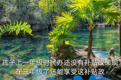 孩子上一年級時民辦還沒有補貼政策現在三年級了還能享受這補貼政