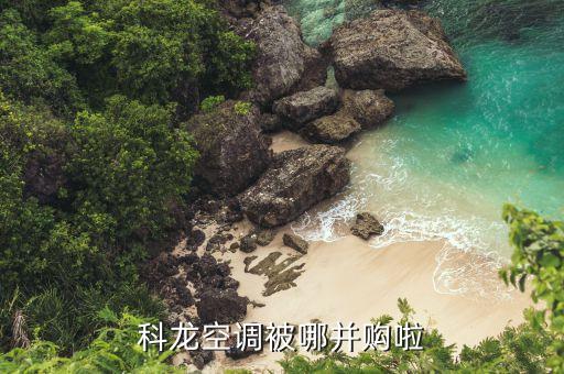 海信什么時候收購科龍，海信與科龍的關系是什么呀