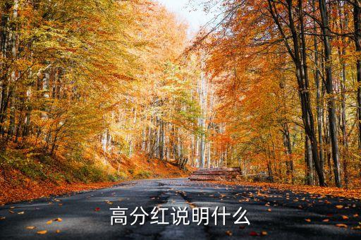 高分紅說明什么