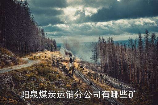 600348陽泉煤業(yè)有什么煤，陽泉煤炭運銷分公司有哪些礦