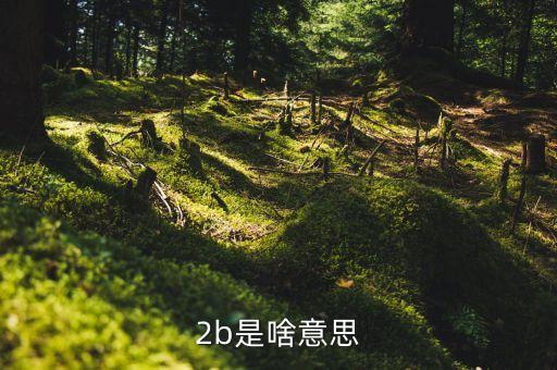 2b行業(yè)是什么，2b市場是什么