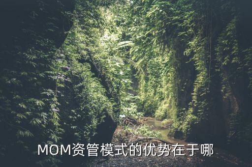 MOM資管模式的優(yōu)勢(shì)在于哪
