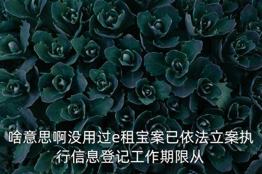 啥意思啊沒用過e租寶案已依法立案執(zhí)行信息登記工作期限從