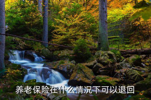 養(yǎng)老保險(xiǎn)在什么情況下就充，什么時(shí)候交養(yǎng)老保險(xiǎn)應(yīng)該是每年的一月就可以交當(dāng)年的養(yǎng)老保險(xiǎn)了