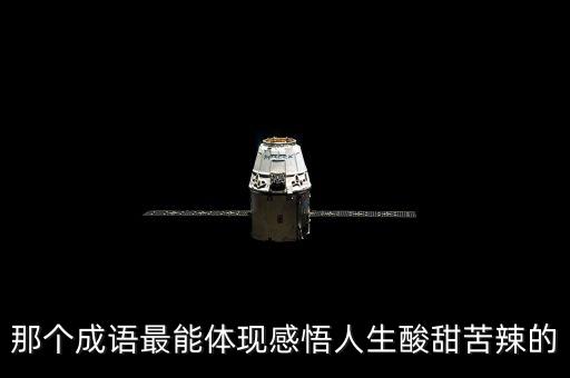 那個成語最能體現(xiàn)感悟人生酸甜苦辣的