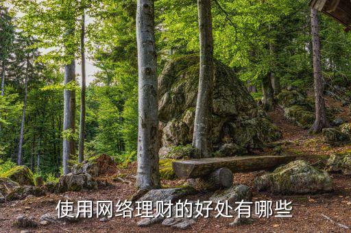 互聯(lián)網(wǎng)理財有什么好處，網(wǎng)絡(luò)理財?shù)暮锰幱心男?/></a></span><span id=
