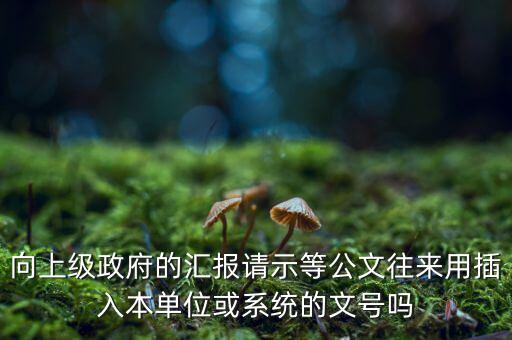 向上級(jí)政府的匯報(bào)請(qǐng)示等公文往來用插入本單位或系統(tǒng)的文號(hào)嗎