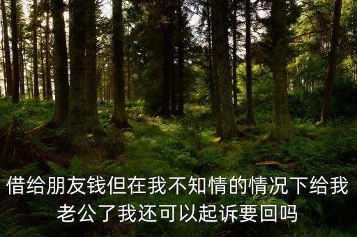 濫訴是什么意思，法律適用股東濫訴 這兩個(gè)法律術(shù)語(yǔ)用英語(yǔ)怎么說(shuō)