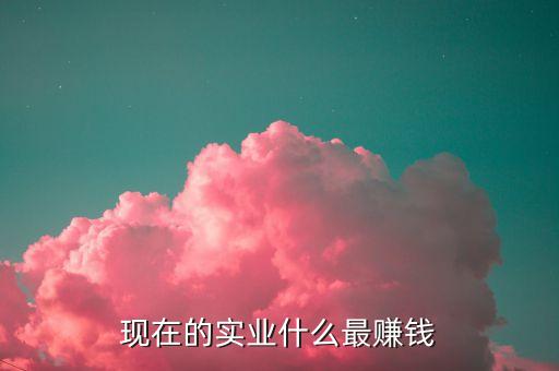 現(xiàn)在的實(shí)業(yè)什么最賺錢