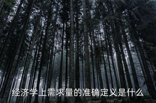 經(jīng)濟(jì)學(xué)上需求量的準(zhǔn)確定義是什么