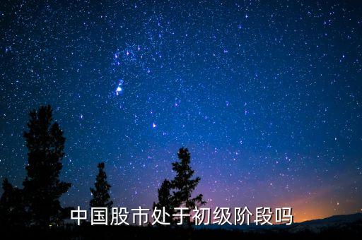 中國股市處于初級階段嗎