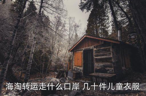 海淘轉(zhuǎn)運(yùn)走什么口岸 幾十件兒童衣服