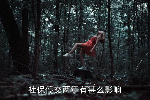 社保停交兩年有甚么影響
