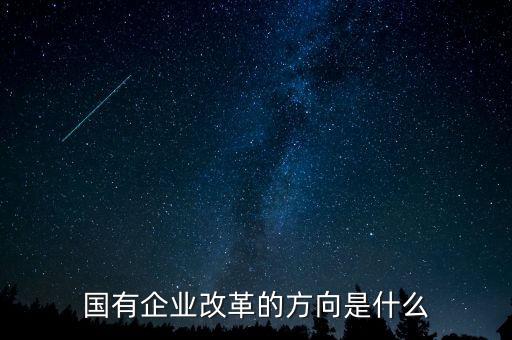 國企改革的主攻方向是發(fā)展什么制，國企改革的主攻方向是發(fā)展什么制