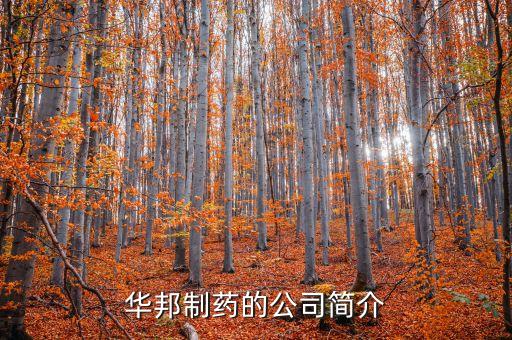 華邦制藥有什么產(chǎn)品，華邦制藥的企業(yè)理念