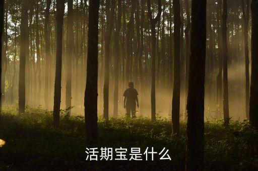 活期寶是什么