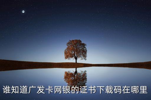廣發(fā)銀行證書下載碼是什么，誰(shuí)知道廣發(fā)卡網(wǎng)銀的證書下載碼在哪里