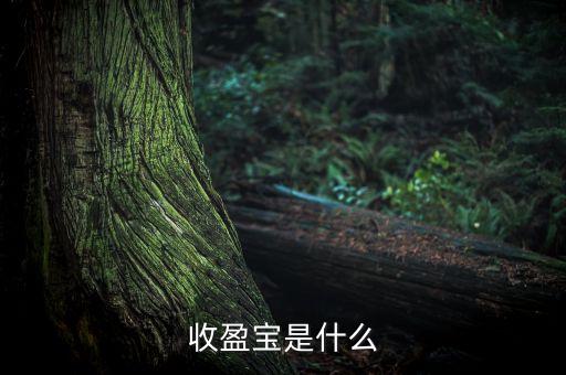 收盈寶是什么