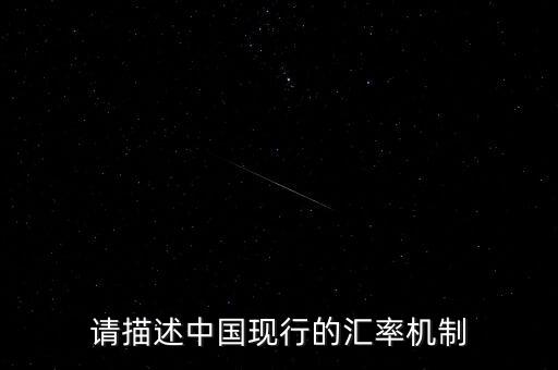 什么是單一浮動匯率，單一浮動匯率制單一固定匯率制解釋