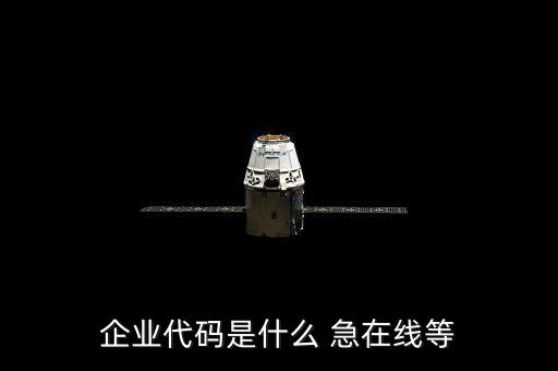 集團(tuán)彩云的企業(yè)代碼是什么，企業(yè)識別碼是什么