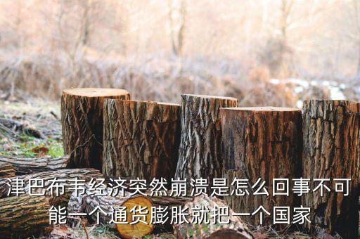 津巴布韋經(jīng)濟(jì)突然崩潰是怎么回事不可能一個通貨膨脹就把一個國家