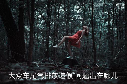 大眾車尾氣排放造假 問(wèn)題出在哪兒