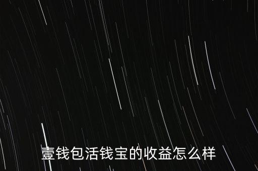 壹錢包活錢是什么，壹錢包星面的活錢寶在哪里啊