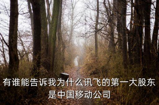 有誰(shuí)能告訴我為什么訊飛的第一大股東是中國(guó)移動(dòng)公司