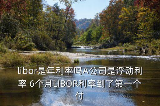 libor是年利率嗎A公司是浮動(dòng)利率 6個(gè)月LIBOR利率到了第一個(gè)付