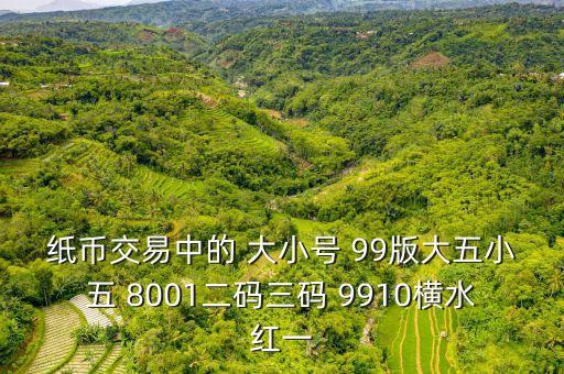 紙幣的橫豎雙號碼是什么樣的，為什么有的一百元人民幣是橫豎雙號碼有的只有橫行才有號碼  搜