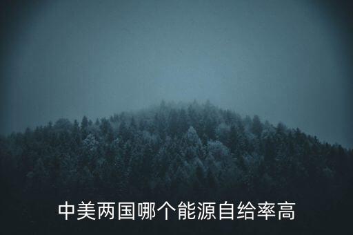 中美兩國哪個能源自給率高