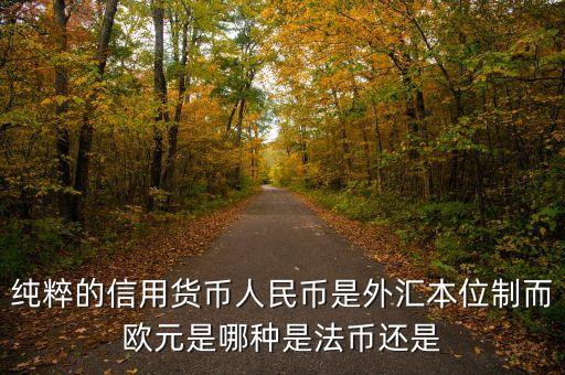歐元是以什么為抵押的，純粹的信用貨幣人民幣是外匯本位制而歐元是哪種是法幣還是