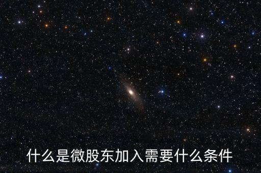 什么是微股東加入需要什么條件