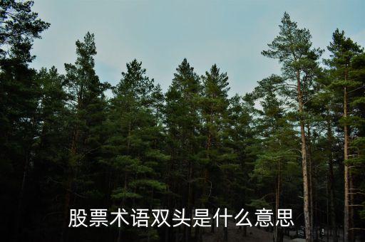 股票術(shù)語(yǔ)雙頭是什么意思
