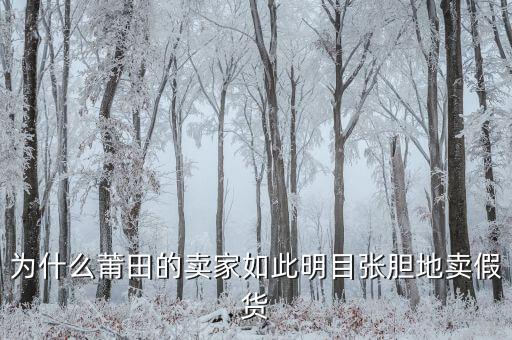 為什么莆田這么多假鞋，為什么莆田的賣家如此明目張膽地賣假貨