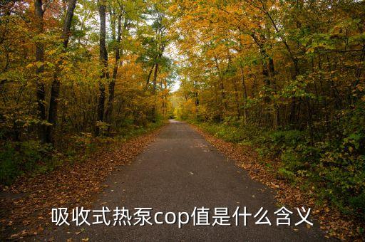 帝納波利cop是什么，COP財務(wù)指標(biāo)是什么意思