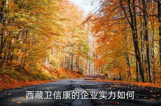 西藏上市公司12家都有什么，云掌財(cái)經(jīng)有西藏上市公司增至12家 總市值超千億元的詳細(xì)介紹嗎