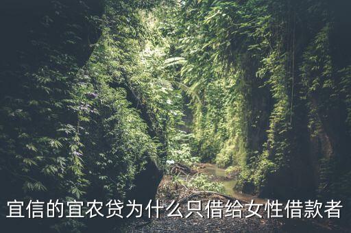 宜信的宜農貸為什么只借給女性借款者