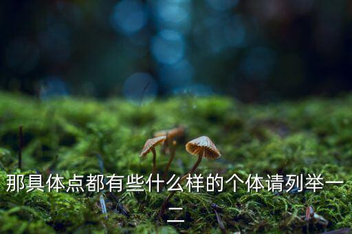 那具體點(diǎn)都有些什么樣的個體請列舉一二