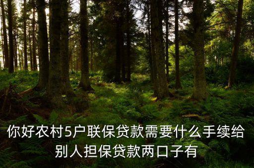 你好農(nóng)村5戶聯(lián)保貸款需要什么手續(xù)給別人擔(dān)保貸款兩口子有
