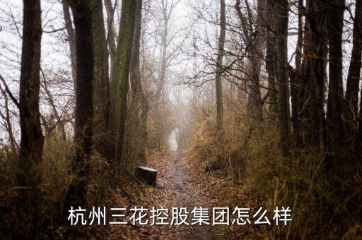 三花控股是做什么，浙江三花股份有限公司在中國500強的排名