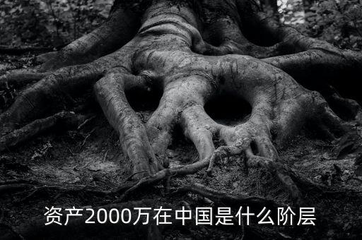 2000萬存款是什么水平，資產(chǎn)2000萬在中國(guó)是什么階層