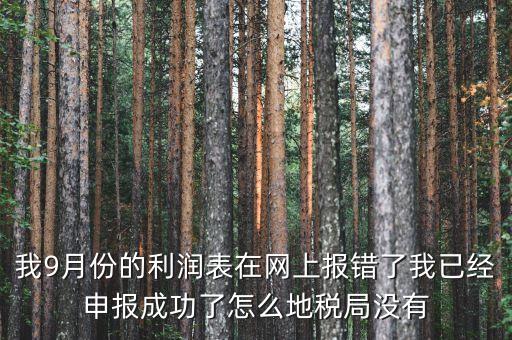 九月報(bào)表4211出錯(cuò)是什么原因，我9月份的利潤(rùn)表在網(wǎng)上報(bào)錯(cuò)了我已經(jīng)申報(bào)成功了怎么地稅局沒(méi)有