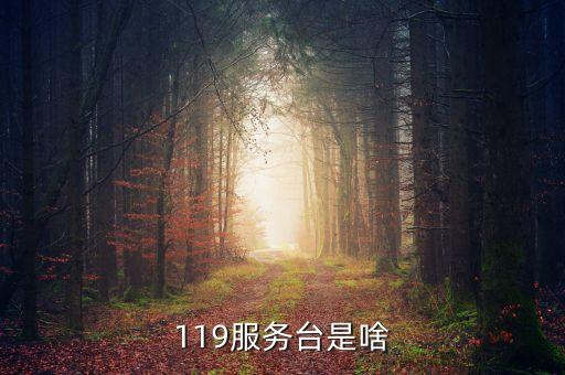 119管什么，119服務(wù)臺是啥