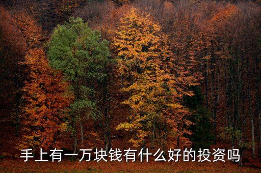 手上有一萬(wàn)塊錢有什么好的投資嗎