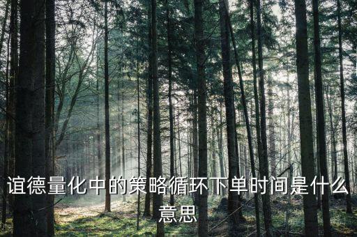 誼德量化中的策略循環(huán)下單時間是什么意思