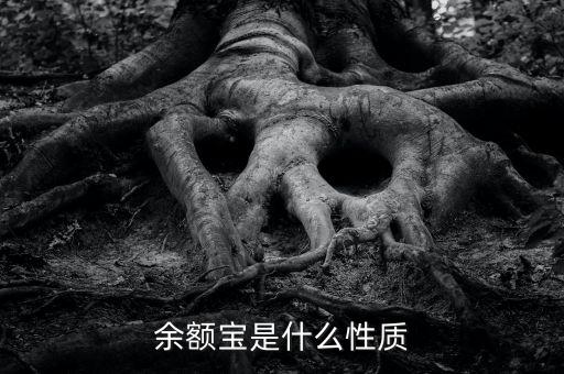 余額寶屬于什么產(chǎn)品，余額寶是什么性質(zhì)