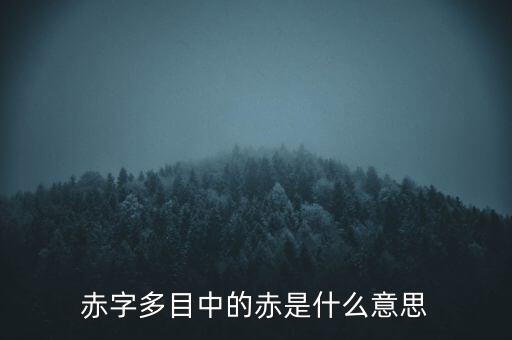赤字多目中的赤是什么意思